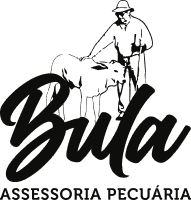 Logo do cliente Bula Logo